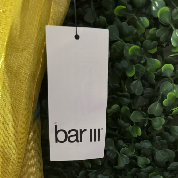 BAR III METALLIC SHEEN SKY DREAM CAMISOLE/TANK - Picture 4 of 7